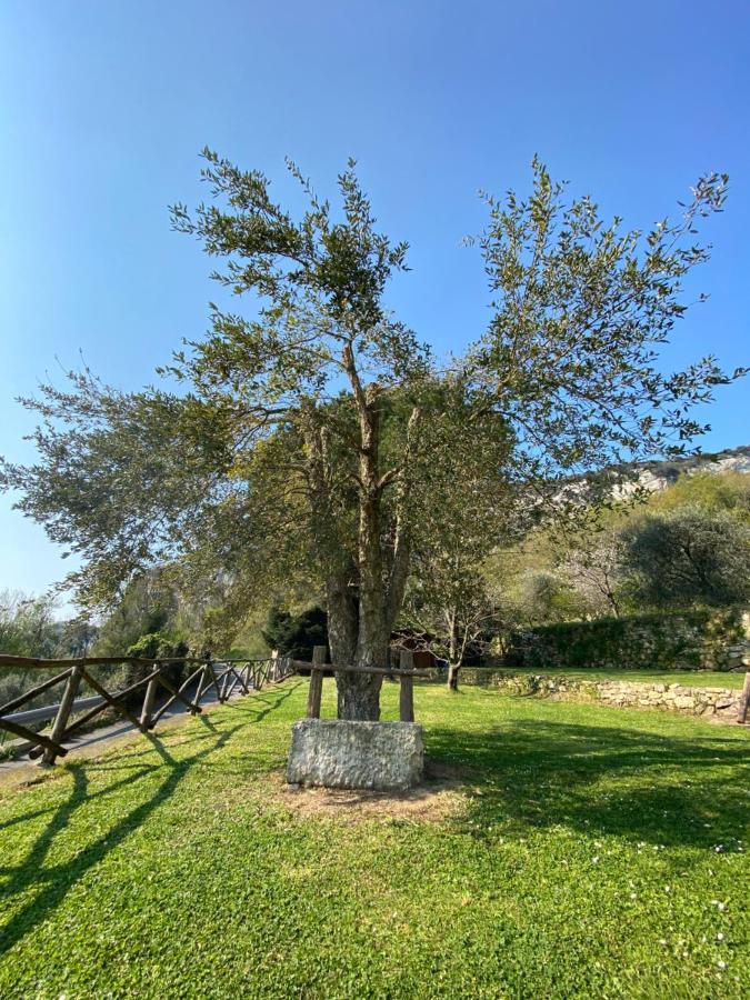 Casa Virginia Villa Orco Feglino Eksteriør billede